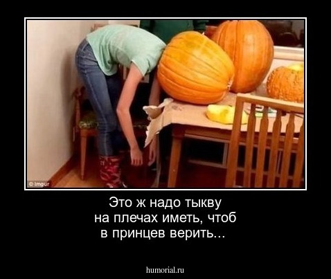 Это ж надо тыкву на плечах иметь, чтоб в принцев верить...