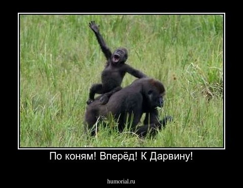 По коням! Вперёд! К Дарвину!