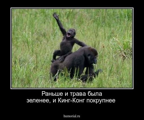Раньше и трава была зеленее, и Кинг-Конг покрупнее 