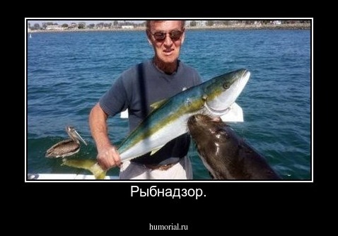 Рыбнадзор.