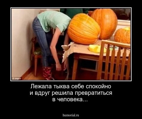Лежала тыква себе спокойно и вдруг решила превратиться в человека...