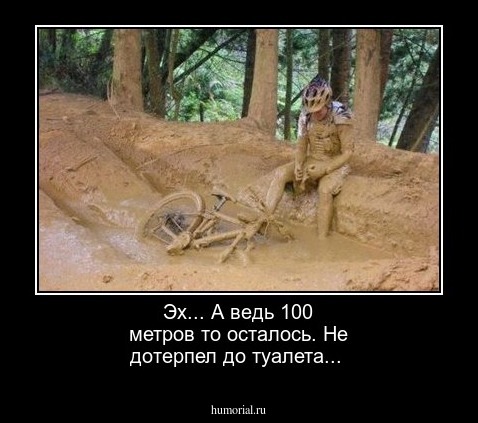 Эх... А ведь 100 метров то осталось. Не дотерпел до туалета...