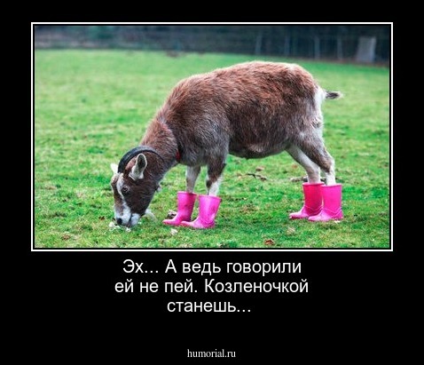 Эх... А ведь говорили ей не пей. Козленочкой станешь...