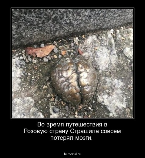 Во время путешествия в Розовую страну Страшила совсем потерял мозги.