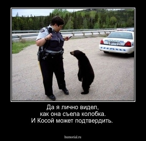 Да я лично видел, как она съела колобка. И Косой может подтвердить.