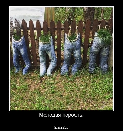 Молодая поросль.