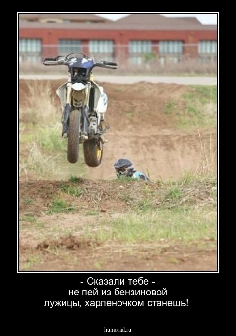 - Сказали тебе - не пей из бензиновой лужицы, харленочком станешь!
