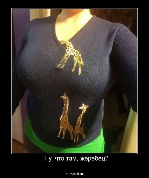 - Ну, что там, жеребец?
