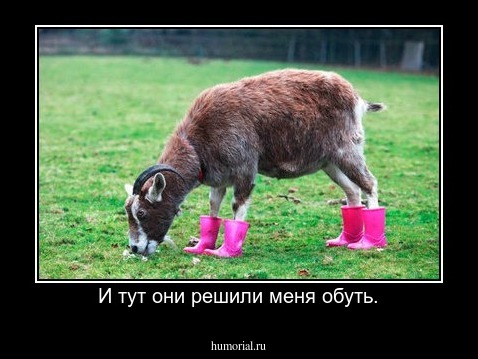 И тут они решили меня обуть.