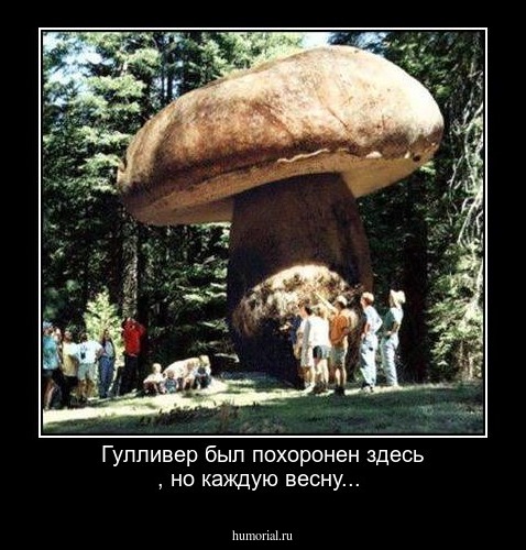 Гулливер был похоронен здесь , но каждую весну...