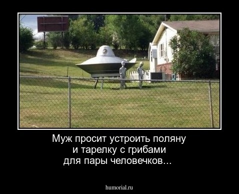 Муж просит устроить поляну и тарелку с грибами для пары человечков...