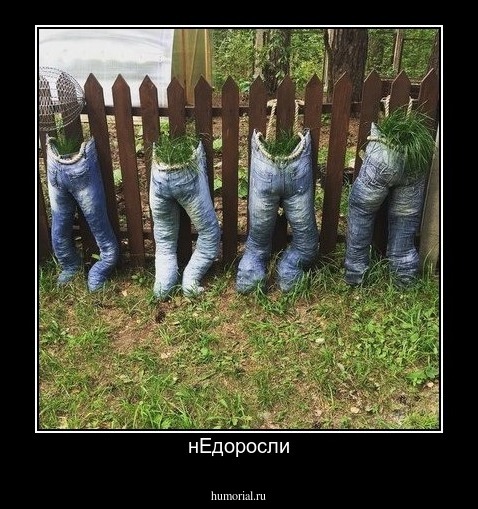 нЕдоросли