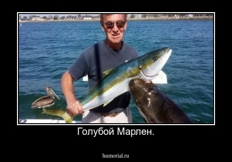 Голубой Марлен.