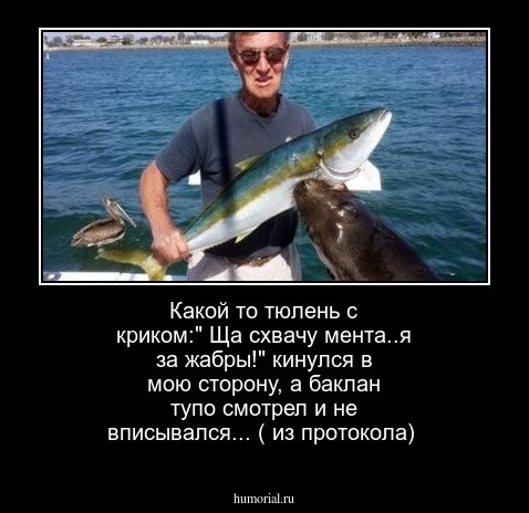 Какой то тюлень с криком:" Ща схвачу мента..я за жабры!" кинулся в мою сторону, а баклан тупо смотрел и не вписывался... ( из протокола)