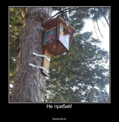 Не прибий!