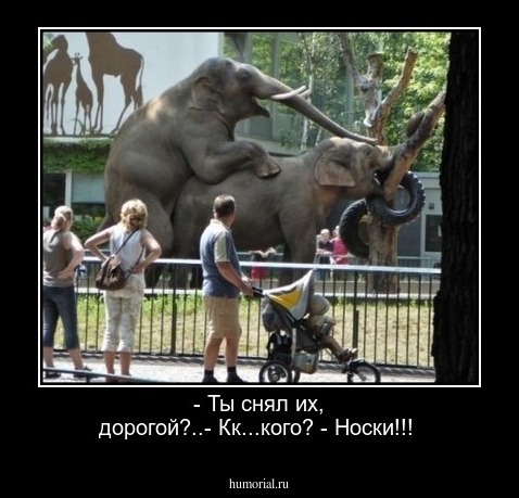 - Ты снял их, дорогой?..- Кк...кого? - Носки!!!
