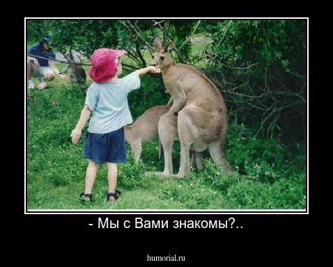 - Мы с Вами знакомы?..