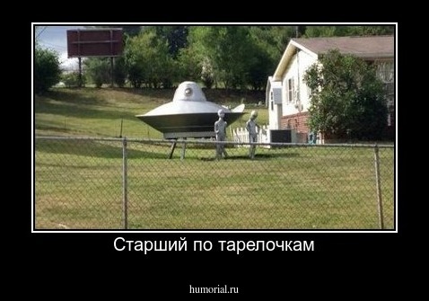 Старший по тарелочкам