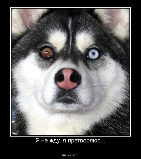 Я не жду, я претворяюс...