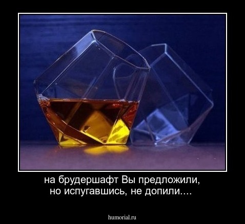 на брудершафт Вы предложили,
но испугавшись, не допили....