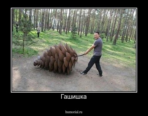 Гашишка