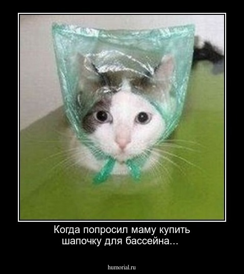 Когда попросил маму купить шапочку для бассейна...