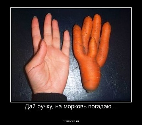 Дай ручку, на морковь погадаю...