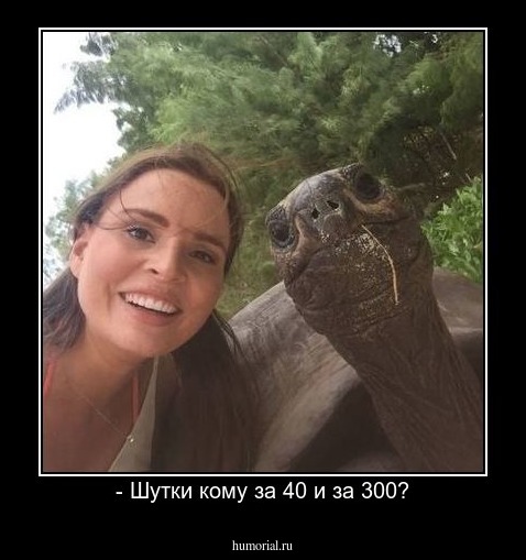 - Шутки кому за 40 и за 300?