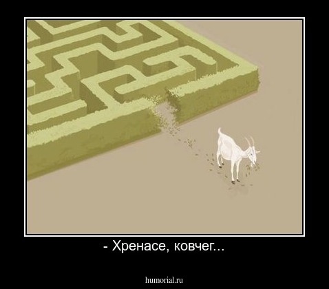 - Хренасе, ковчег...