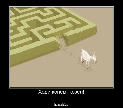 Ходи конём, козёл!