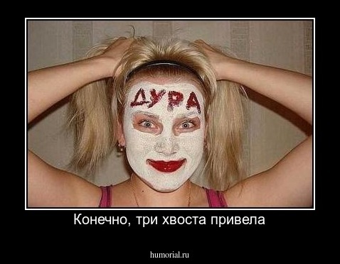 Конечно, три хвоста привела