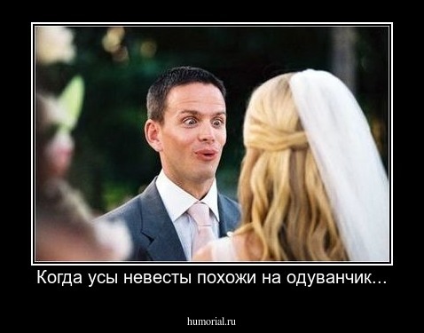 Когда усы невесты похожи на одуванчик...