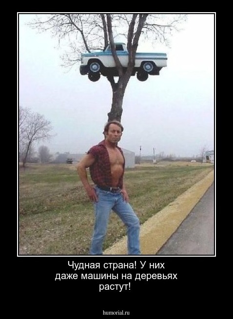 Чудная страна! У них даже машины на деревьях растут!