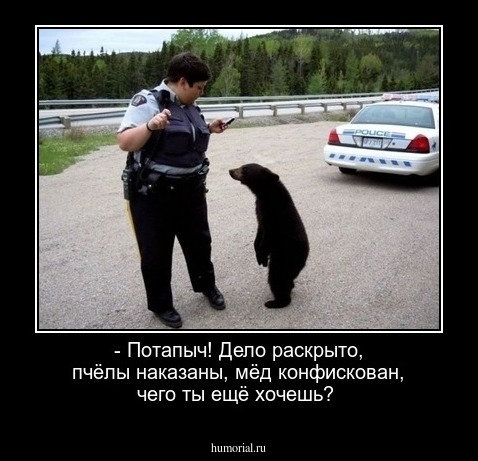  - Потапыч! Дело раскрыто, пчёлы наказаны, мёд конфискован, чего ты ещё хочешь?