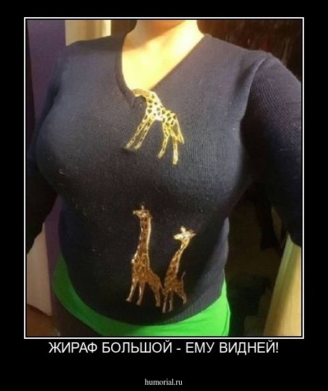 ЖИРАФ БОЛЬШОЙ - ЕМУ ВИДНЕЙ!