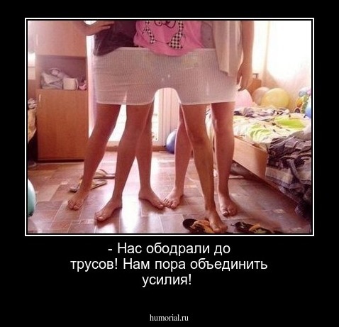 - Нас ободрали до трусов! Нам пора объединить усилия!