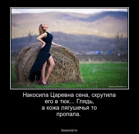 Накосила Царевна сена, скрутила его в тюк...
Глядь, а кожа лягушечья то пропала.