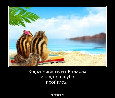 Когда живёшь на Канарах и негде в шубе пройтись.