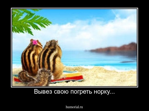 Вывез свою погреть норку...
