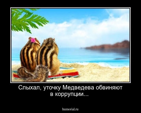 Слыхал, уточку Медведева обвиняют в коррупции...