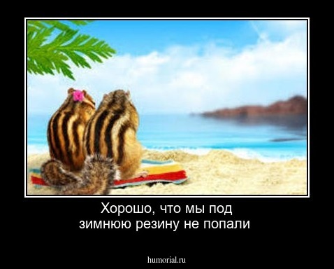 Хорошо, что мы под зимнюю резину не попали 