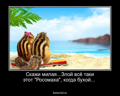 Скажи милая...Злой всё таки этот "Росомаха", когда бухой...