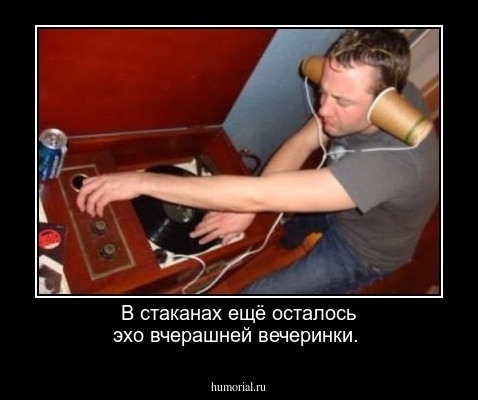 В стаканах ещё осталось эхо вчерашней вечеринки.