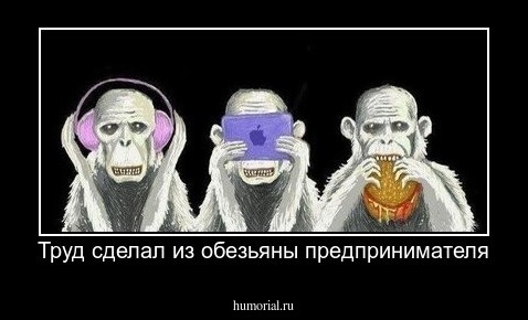 Труд сделал из обезьяны предпринимателя