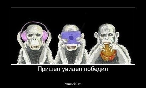 Пришел увидел победил