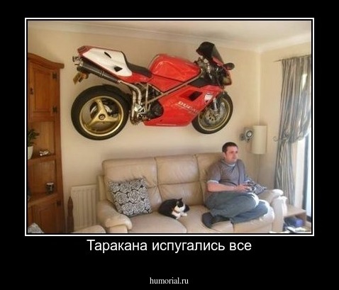 Таракана испугались все