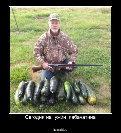 Сегодня на  ужин  кабачатина