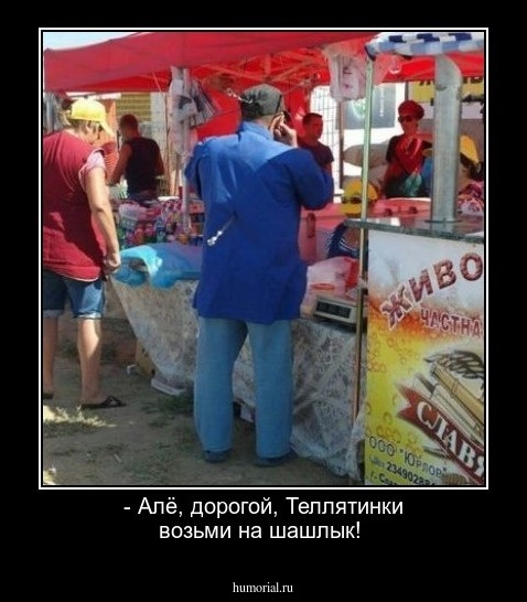 - Алё, дорогой, Теллятинки возьми на шашлык!