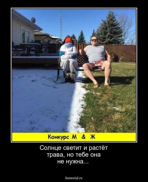 Солнце светит и растёт трава, но тебе она не нужна...