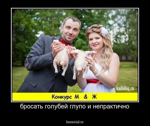 бросать голубей глупо и непрактично